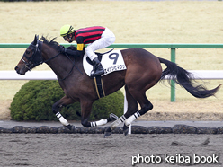 カラープリント(アルミ枠なし)2016年2月20日京都4R 3歳新馬(エイシンヒマワリ)