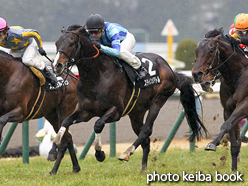 カラーパネル2016年2月20日京都9R 春日特別(ステイインシアトル)