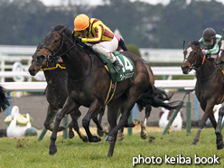 カラープリント(アルミ枠付き)2016年2月20日京都11R 京都牝馬ステークス(クイーンズリング)