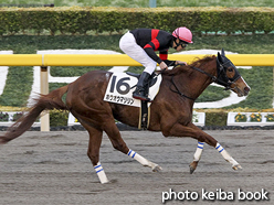 カラーパネル2016年2月20日東京1R 3歳未勝利(ホウオウマリリン)