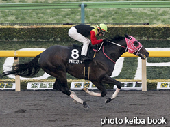 カラーパネル2016年2月20日東京10R 金蹄ステークス(アポロケンタッキー)