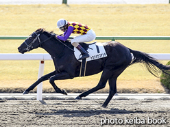 カラープリント(アルミ枠付き)2016年2月21日京都2R 3歳未勝利(トウショウコマンチ)