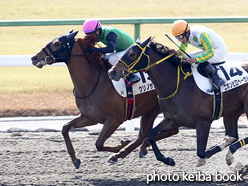 カラープリント(アルミ枠付き)2016年2月21日京都3R 3歳未勝利(クリノサンレオ)