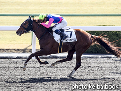 カラープリント(アルミ枠なし)2016年2月21日京都4R 障害オープン(メイショウアラワシ)