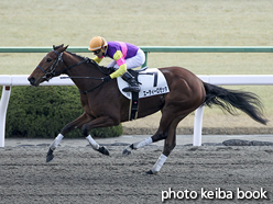 カラーパネル2016年2月21日京都7R 4歳上500万下(エーティーロゼッタ)