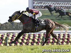 カラーパネル2016年2月21日京都11R 斑鳩ステークス(エイシンスパルタン)