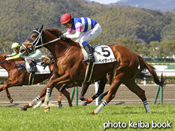 カラーパネル2016年2月21日小倉3R 3歳未勝利(ペイザージュ)