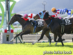 カラーパネル2016年2月21日小倉12R 紫川特別(ダノンルージュ)