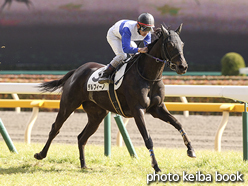 カラーパネル2016年2月21日東京7R 4歳上500万下(デルフィーノ)