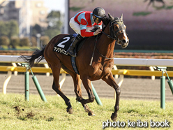 カラープリント(アルミ枠付き)2016年2月21日東京10R アメジストステークス(アングライフェン)