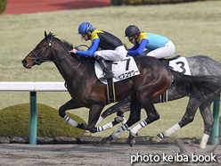 カラーパネル2016年2月27日阪神3R 3歳未勝利(ピスコサワー)