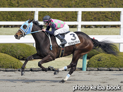 カラープリント(アルミ枠なし)2016年2月27日阪神4R 3歳新馬(ダンツペンダント)