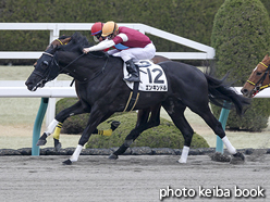 カラープリント(アルミ枠なし)2016年2月27日阪神12R 4歳上1000万下(エンキンドル)