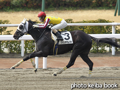 カラープリント(アルミ枠なし)2016年2月27日小倉5R 4歳上500万下(グランデサムライ)