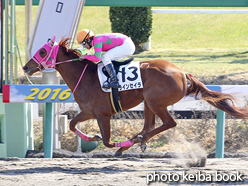 カラーパネル2016年2月27日中山1R 3歳未勝利(ラインセイラ)