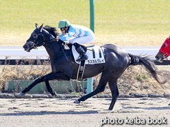 カラープリント(アルミ枠付き)2016年2月27日中山2R 3歳未勝利(ラスカルグレイ)