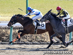 カラープリント(アルミ枠なし)2016年2月27日中山3R 3歳未勝利(サンホッブズ)