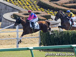 カラーパネル2016年2月27日中山4R 障害未勝利(メイショウオヤシオ)