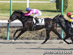 カラーパネル2016年2月27日中山8R 4歳上500万下(サクラヴァローレ)