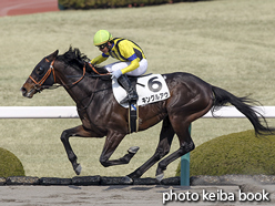 カラープリント(アルミ枠付き)2016年2月28日阪神7R 4歳上500万下(キングルアウ)