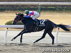 カラープリント(アルミ枠なし)2016年2月28日小倉10R くすのき賞(キョウエイギア)