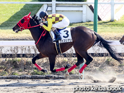 カラープリント(アルミ枠付き)2016年2月28日中山1R 3歳未勝利(エビスリアン)