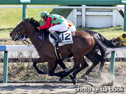 カラーパネル2016年2月28日中山2R 3歳未勝利(シゲルクロダイ)