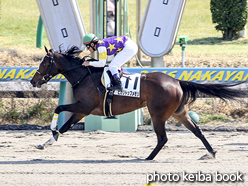 カラープリント(アルミ枠なし)2016年2月28日中山3R 3歳新馬(ヒカリトップメモリ)