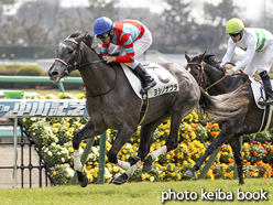 カラープリント(アルミ枠なし)2016年2月28日中山5R 3歳未勝利(ヨシノザクラ)