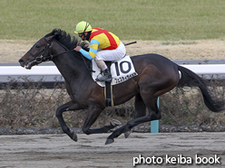 カラープリント(アルミ枠付き)2016年2月28日中山12R 4歳上1000万下(フェスティヴイェル)