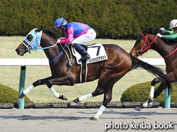 カラープリント(アルミ枠付き)2016年3月5日阪神3R 3歳新馬(メイショウアタカマ)