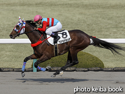 カラーパネル2016年3月5日阪神7R 4歳上500万下(タマモアタック)