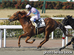 カラープリント(アルミ枠なし)2016年3月5日小倉1R 3歳未勝利(ナムラボルト)