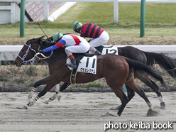 カラープリント(アルミ枠付き)2016年3月5日中山3R 3歳未勝利(グラスレグナム)