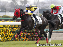 カラープリント(アルミ枠なし)2016年3月5日中山5R 3歳未勝利(オーダードリブン)