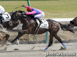 カラープリント(アルミ枠なし)2016年3月5日中山7R 4歳上500万下(メイショウカイモン)