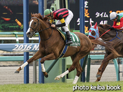 カラープリント(アルミ枠付き)2016年3月5日中山11R オーシャンステークス(エイシンブルズアイ)