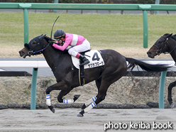 カラーパネル2016年3月5日中山12R 4歳上1000万下(サクラフローラ)