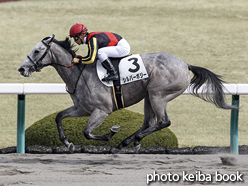 カラープリント(アルミ枠なし)2016年3月6日阪神1R 3歳未勝利(シルバーポジー)