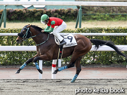 カラーパネル2016年3月6日小倉9R 4歳上500万下(マイネルボルソー)