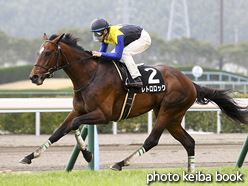 カラーパネル2016年3月6日小倉12R 唐戸特別(レトロロック)