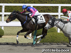 カラープリント(アルミ枠なし)2016年3月12日阪神5R 4歳上500万下(メイショウタラチネ)