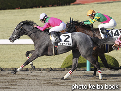 カラーパネル2016年3月12日阪神12R 4歳上1000万下(モアニケアラ)