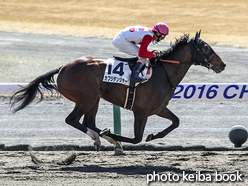 カラーパネル2016年3月12日中京2R 3歳未勝利(カフジデンジャー)