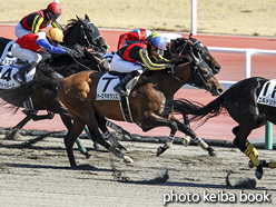 カラーパネル2016年3月12日中京9R 4歳上1000万下(オーロラポラリス)