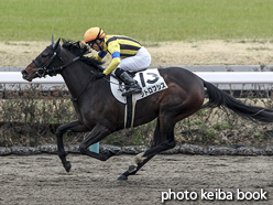 カラープリント(アルミ枠なし)2016年3月12日中山1R 3歳未勝利(シトロプシス)