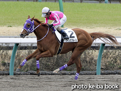 カラープリント(アルミ枠なし)2016年3月12日中山4R 3歳新馬(クインズプルート)