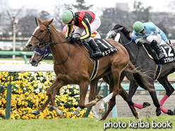 カラープリント(アルミ枠なし)2016年3月12日中山11R アネモネステークス(チェッキーノ)