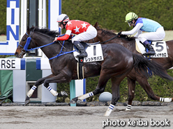 カラーパネル2016年3月13日阪神7R 4歳上500万下(レッドサバス)