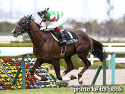 カラーパネル2016年3月13日阪神9R 淡路特別(クリプトグラム)